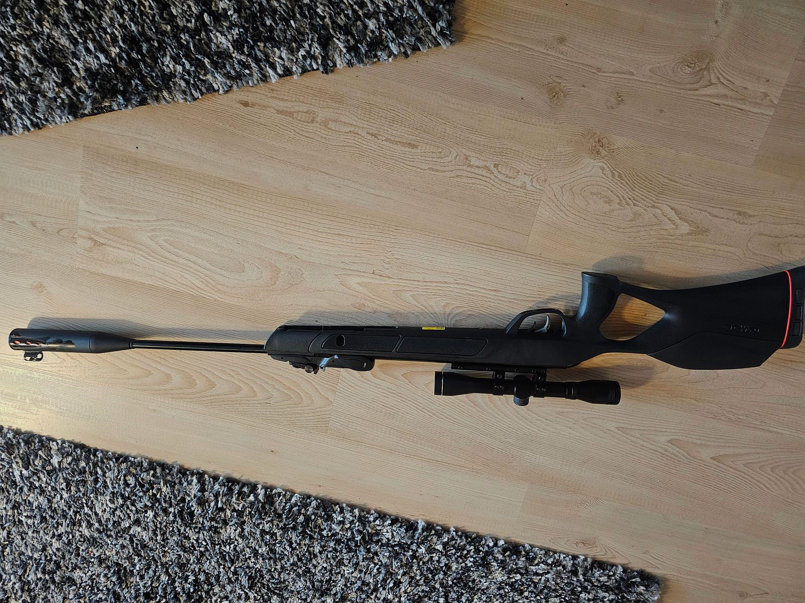Gamo 10 Schuss Luftgewehr