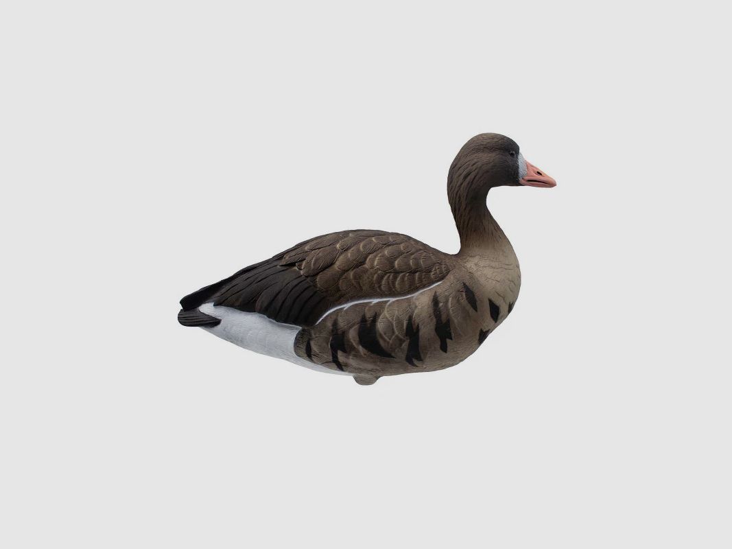 6-PIECE SET OF FIELD STAMPS GOOSE LOMBARDELLA, image 1 of 3