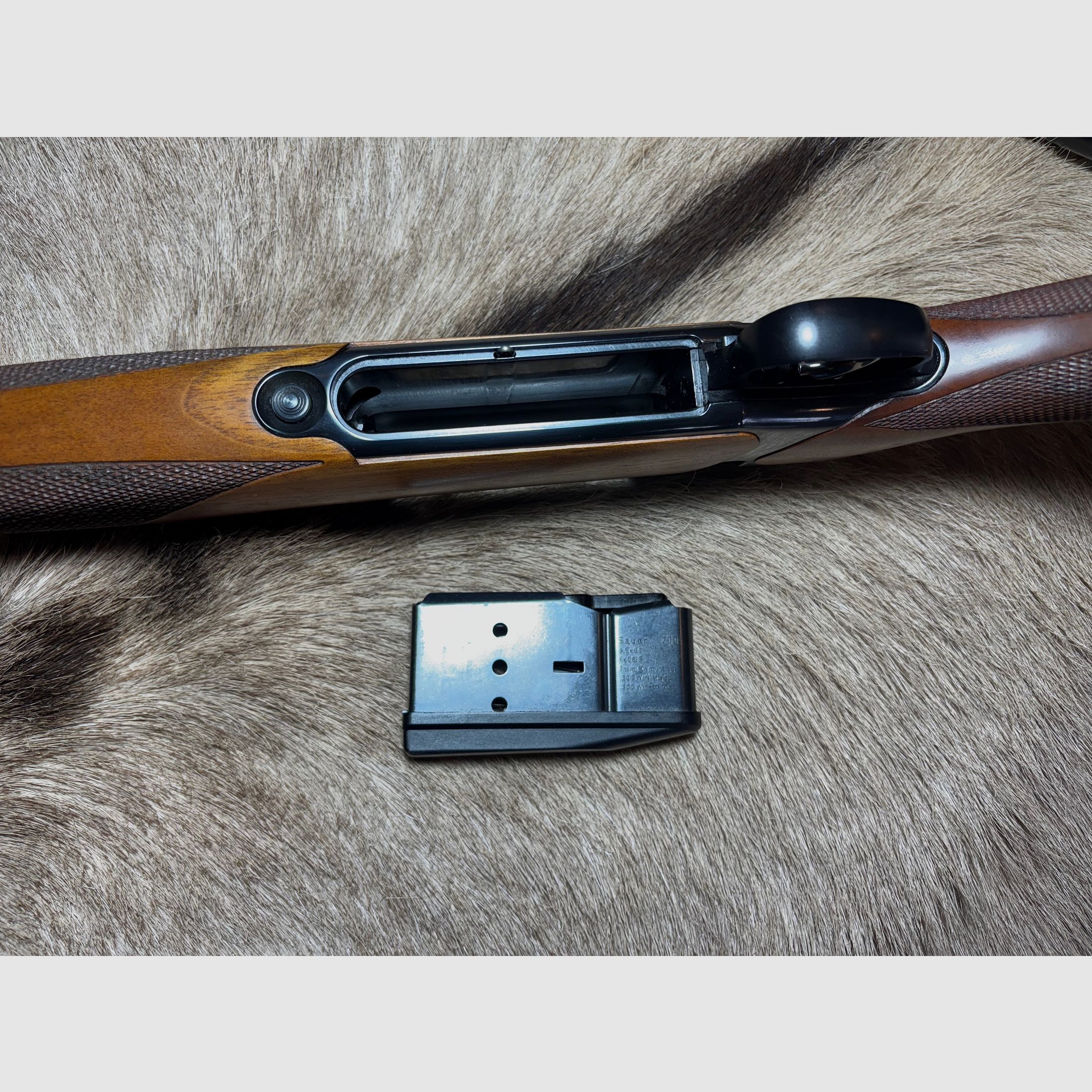 Sauer 202 .300 WinMag Elegance