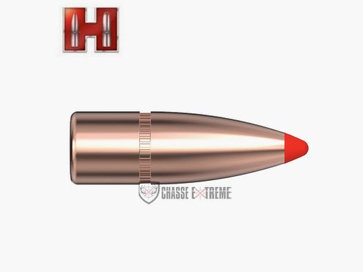 100 Bullets HORNADY 30 Cal 308 135Gr FTX