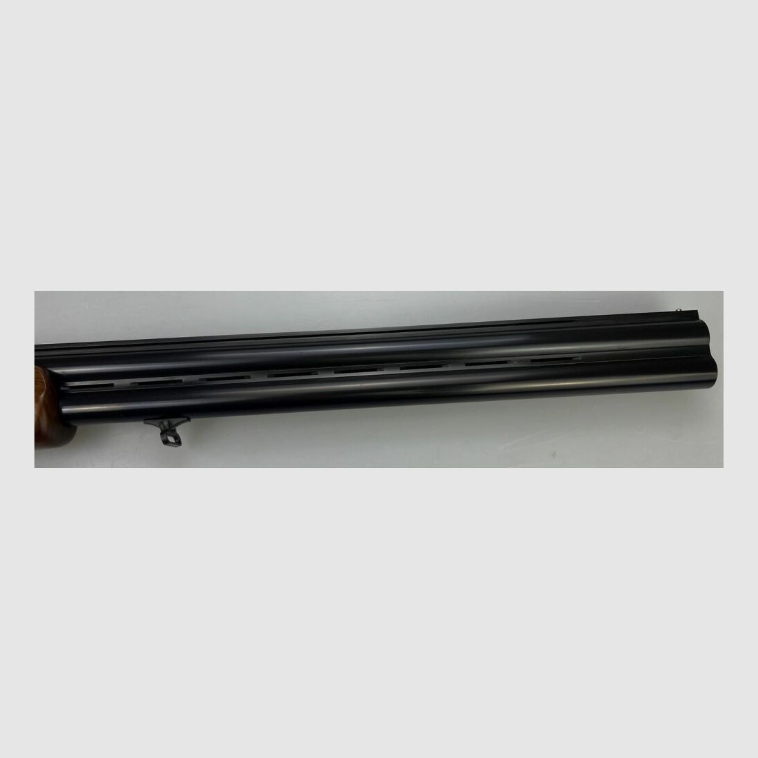 Sauer Fausti Jagd