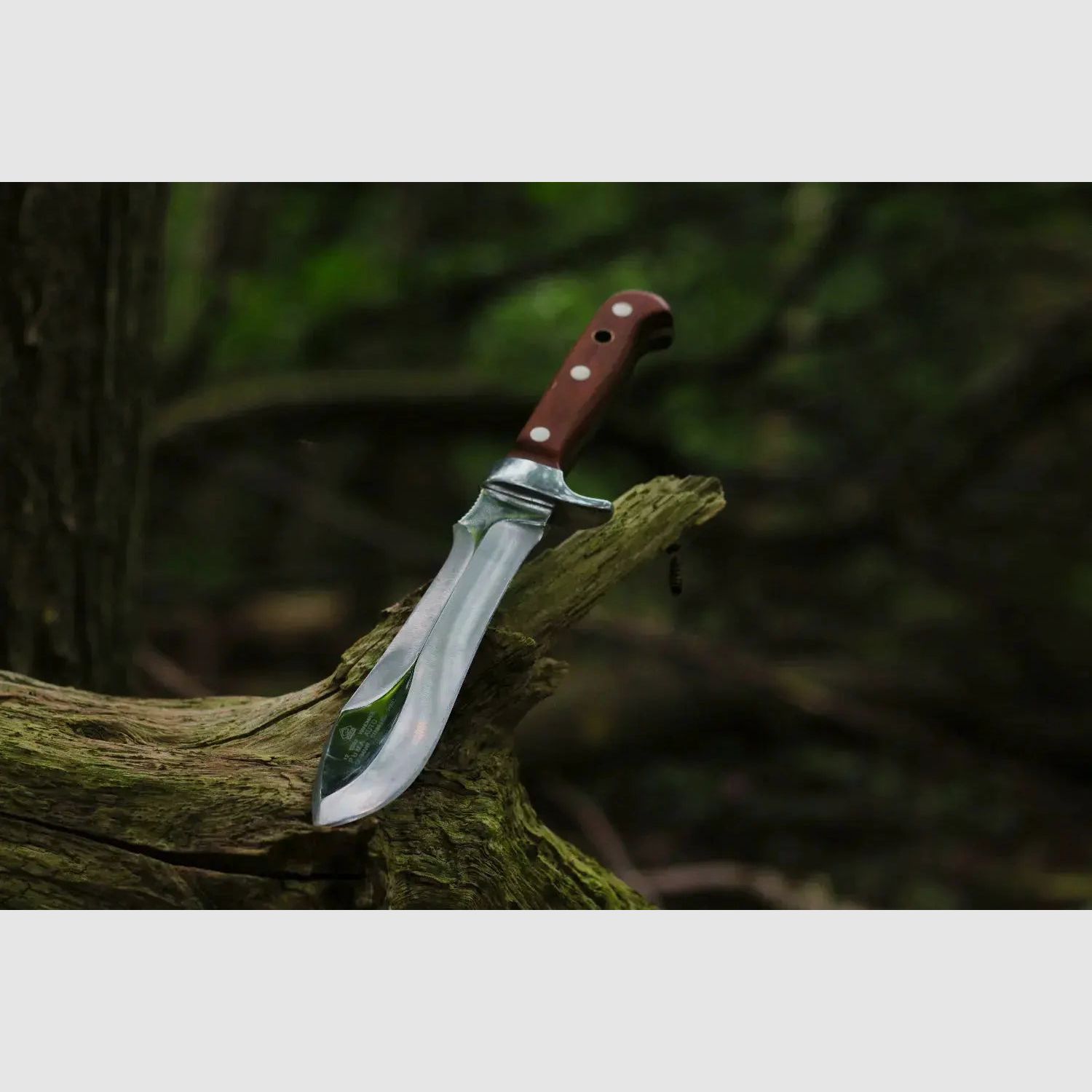 PUMA automatic knife, without serration