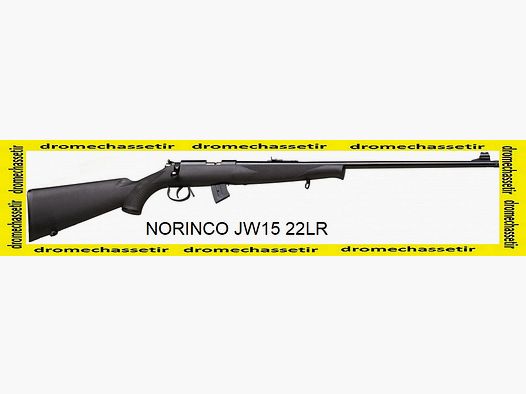 Carabina Norinco JW15 .22lr, sintetica, canna filettata da 61 cm