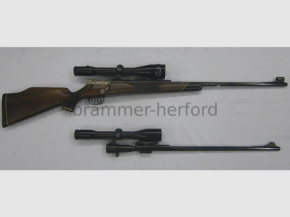 Mauser 66S