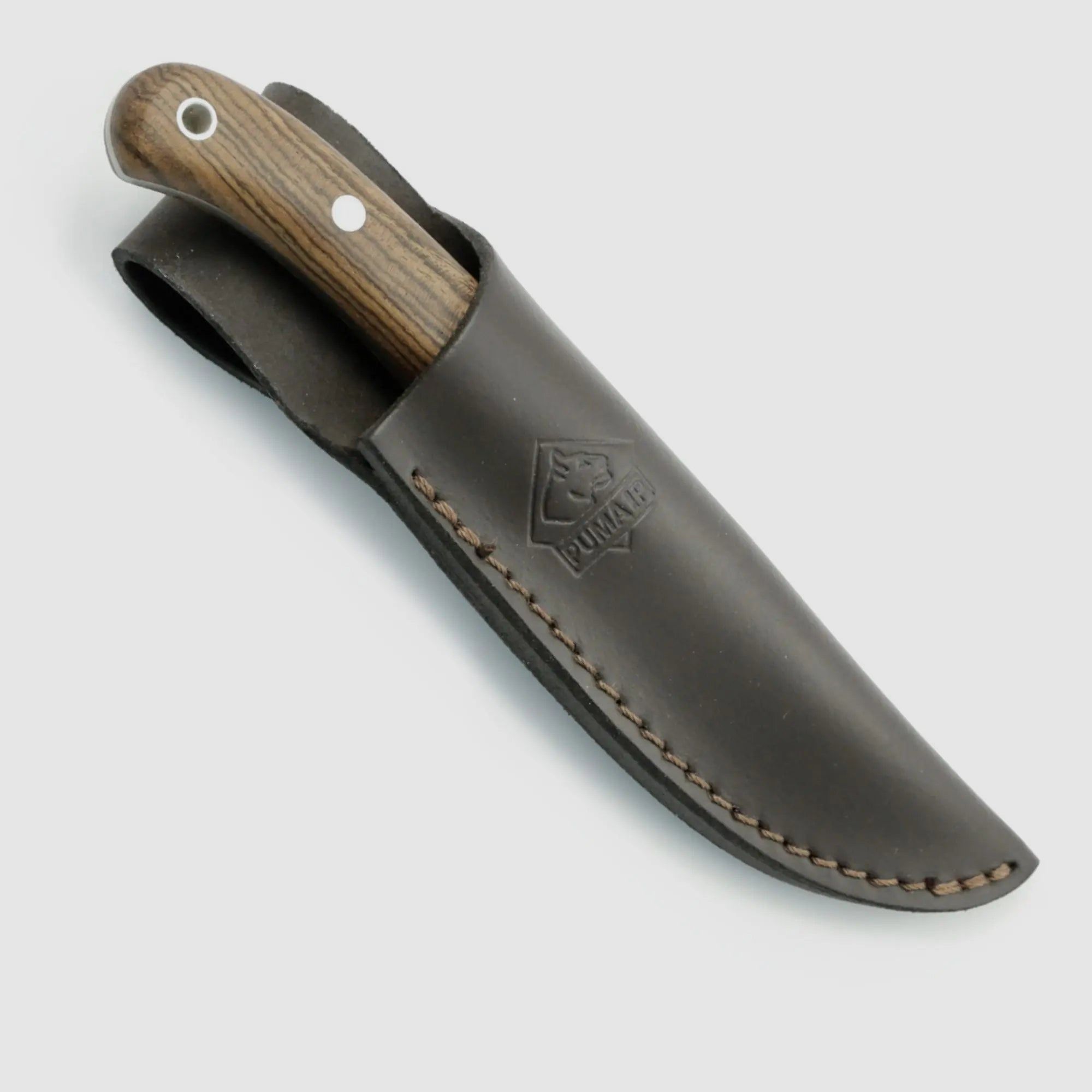 PUMA IP catamount quercia