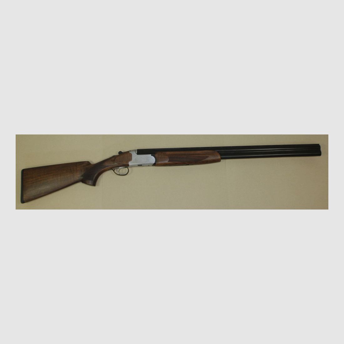 Forest Favorite	 Jagd