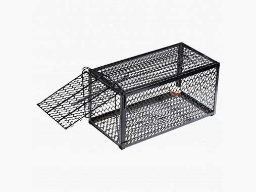 the Lake Passion Small Box Trap |