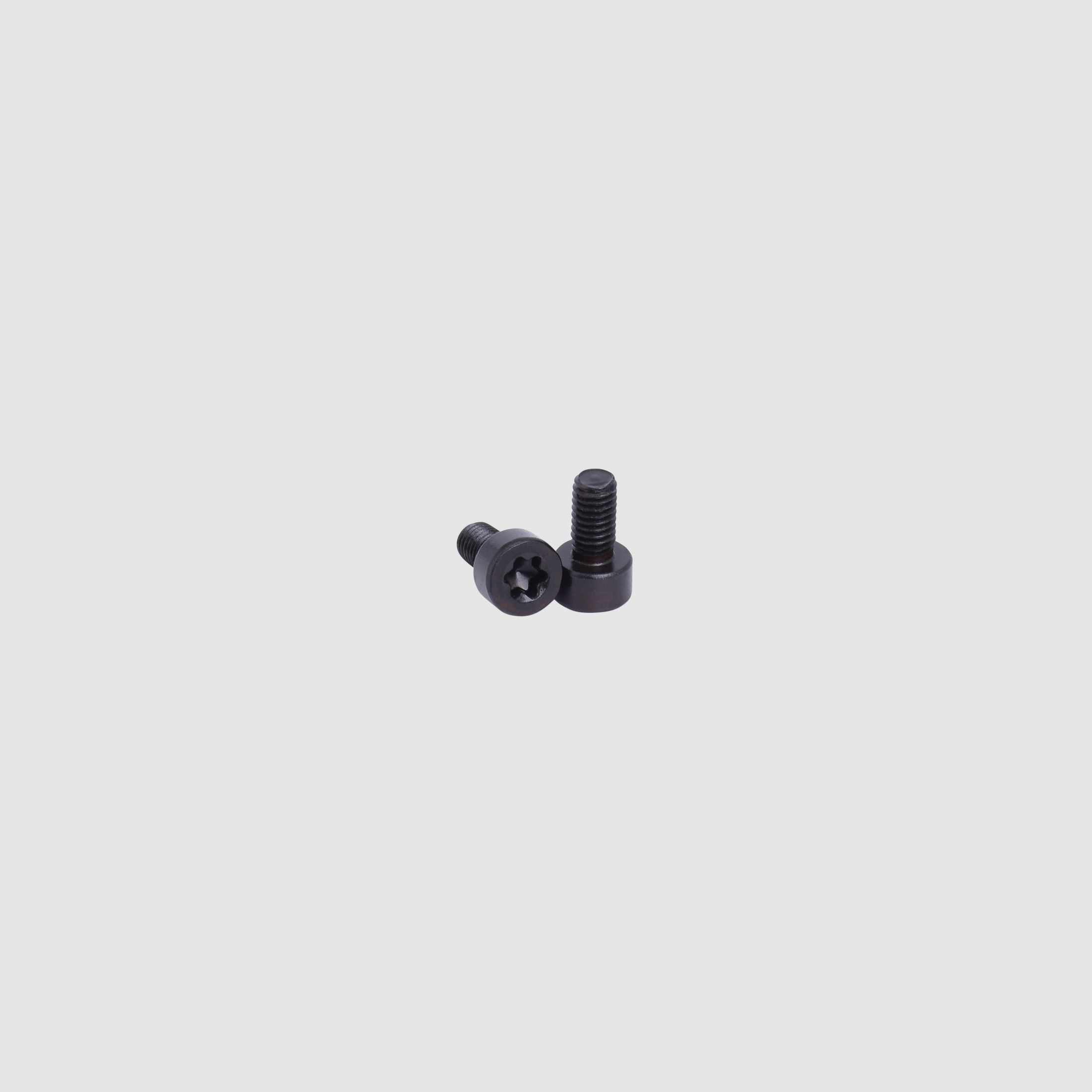 SIG SAUER X-Serie I tornillo cilíndrico M3x6-12,9
