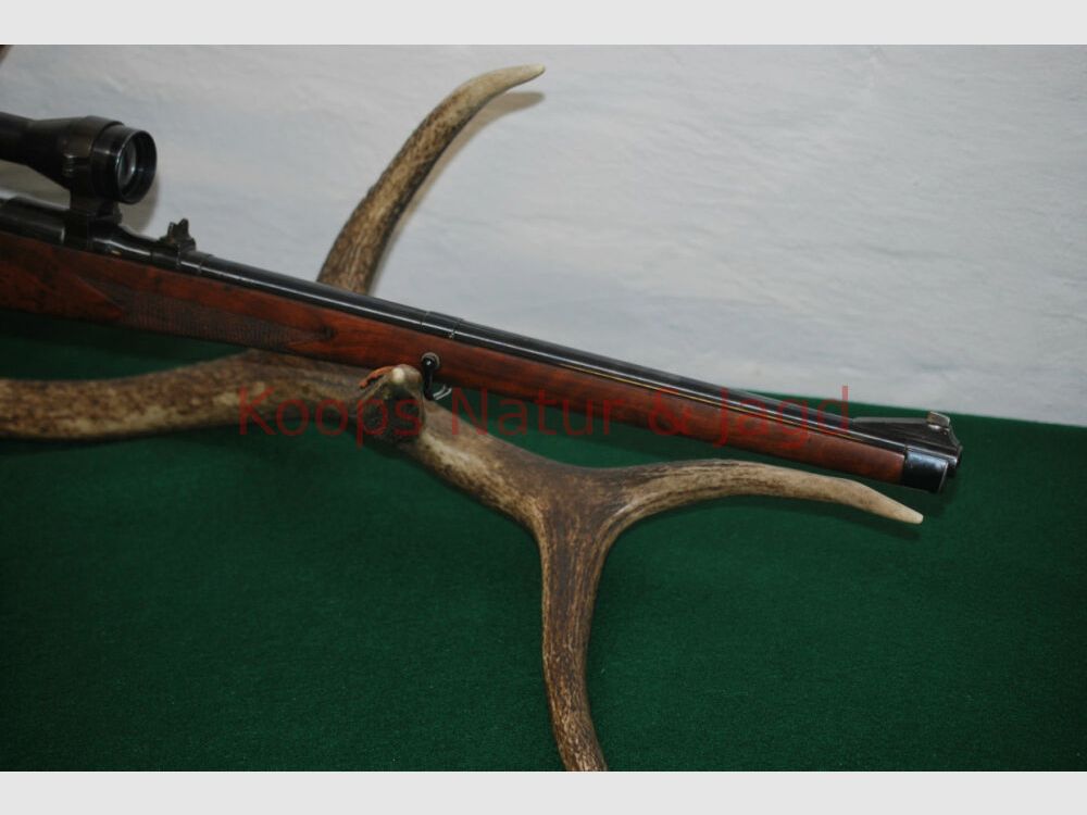 Steyr Mannlicher Schoenauer GK