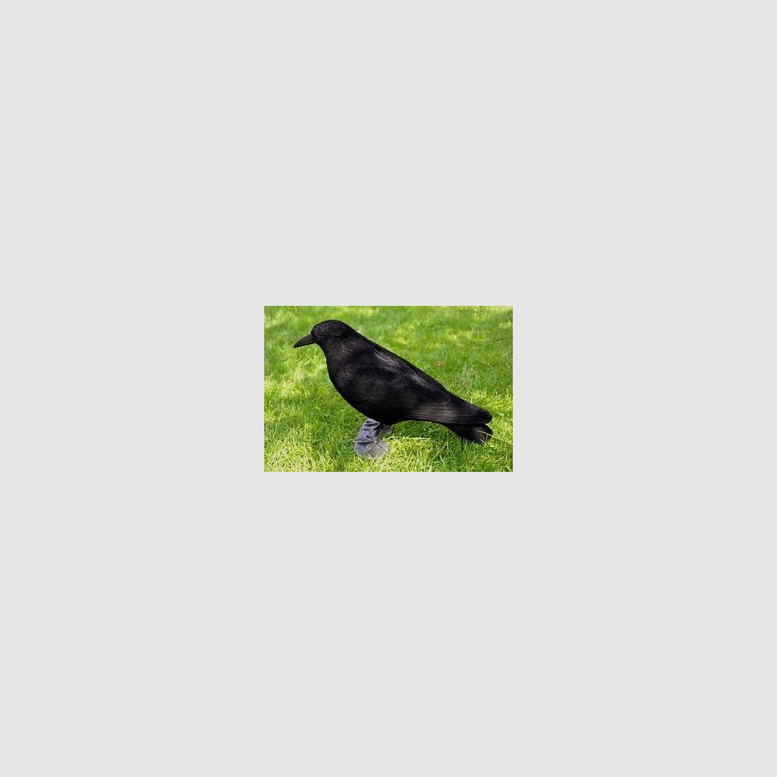 lokvogel kraai geflockt incl pin en voet 41cm