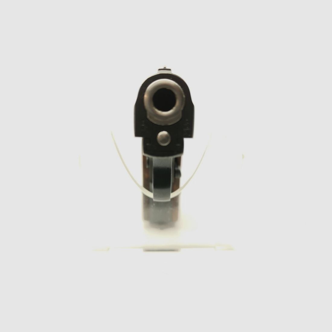 FN Baby