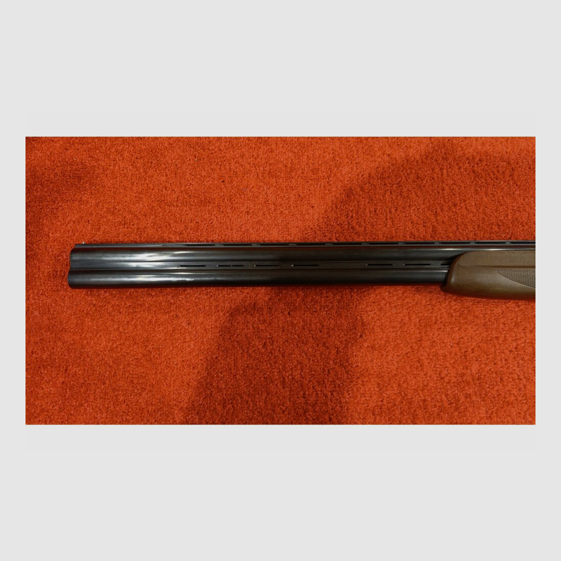 Frankonia Jagd 12/76