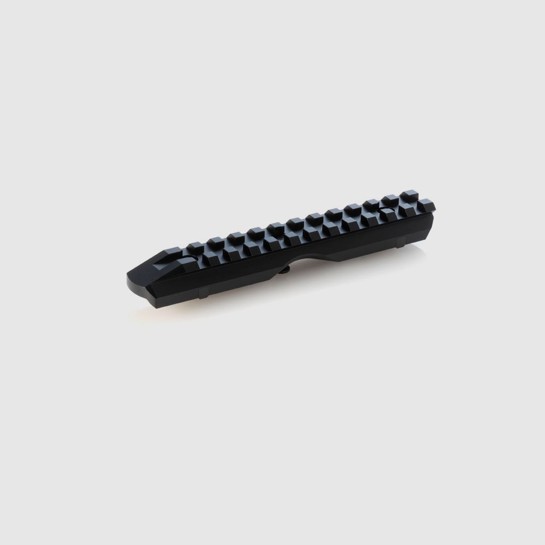 Dentler basic steel mounting rail