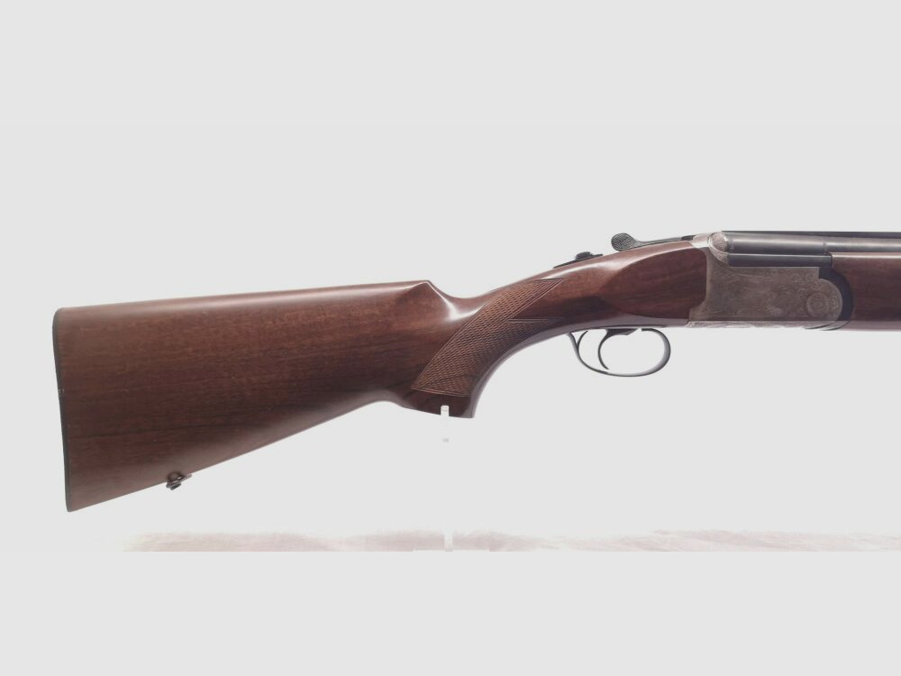 Rizzini AT 605