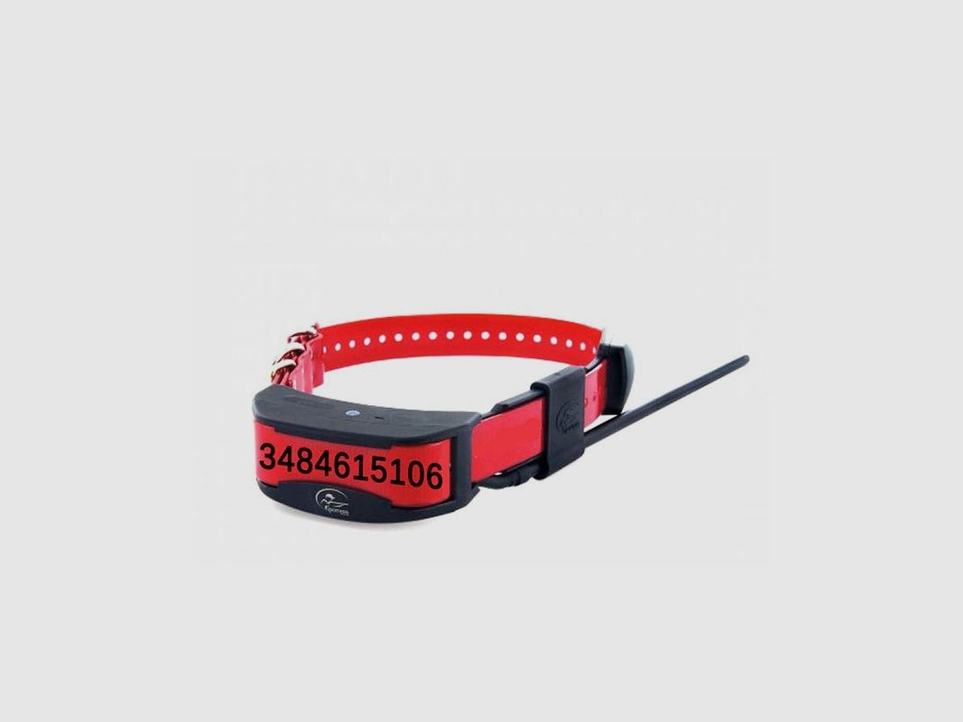 Collar Personalizado Tela Grabada - para Tek 1.5 – 2.0, imagen 1 de 11
