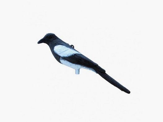 Lokvogel – Ekster Geflockt
