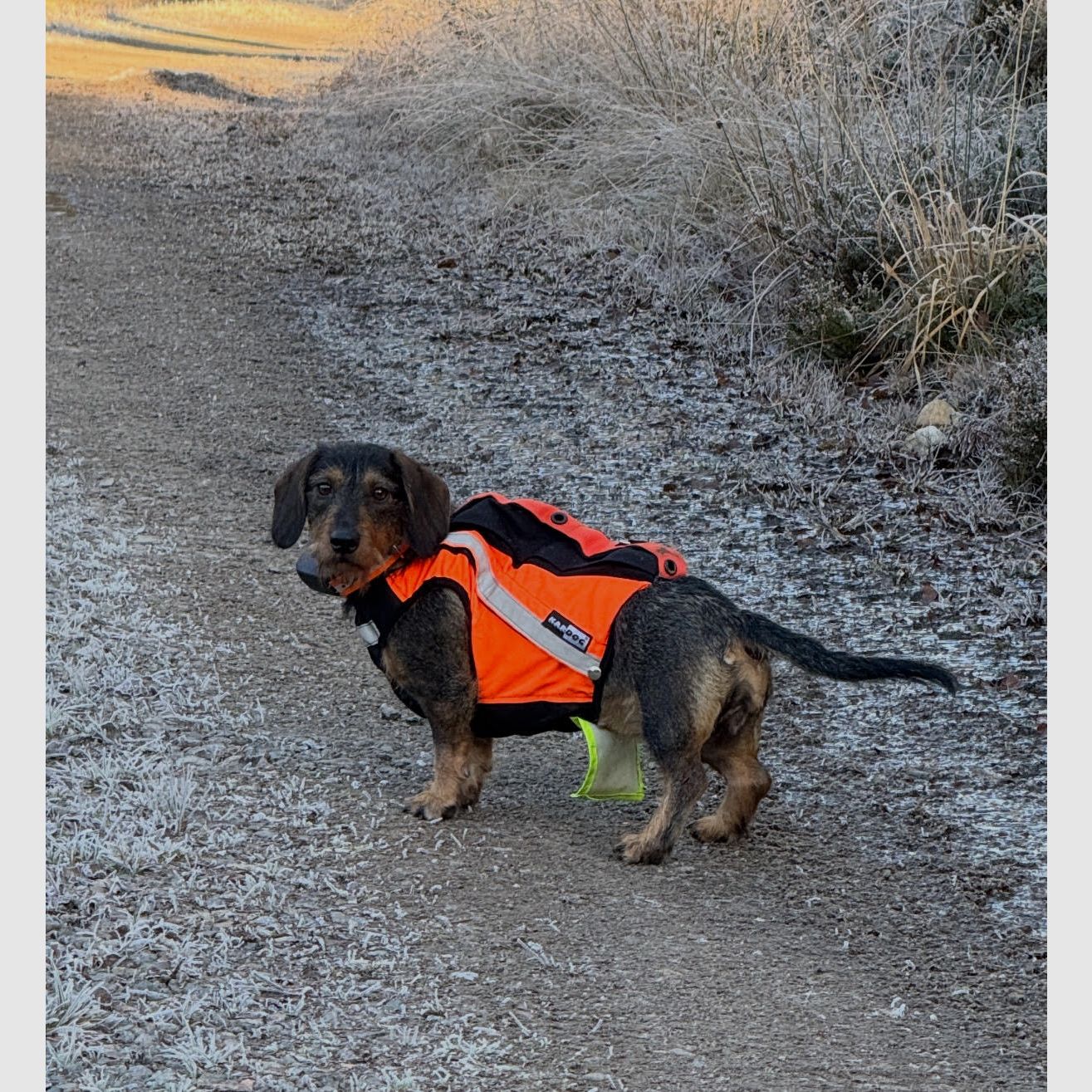 Sulo GPS- väst med hög synlighet DH1