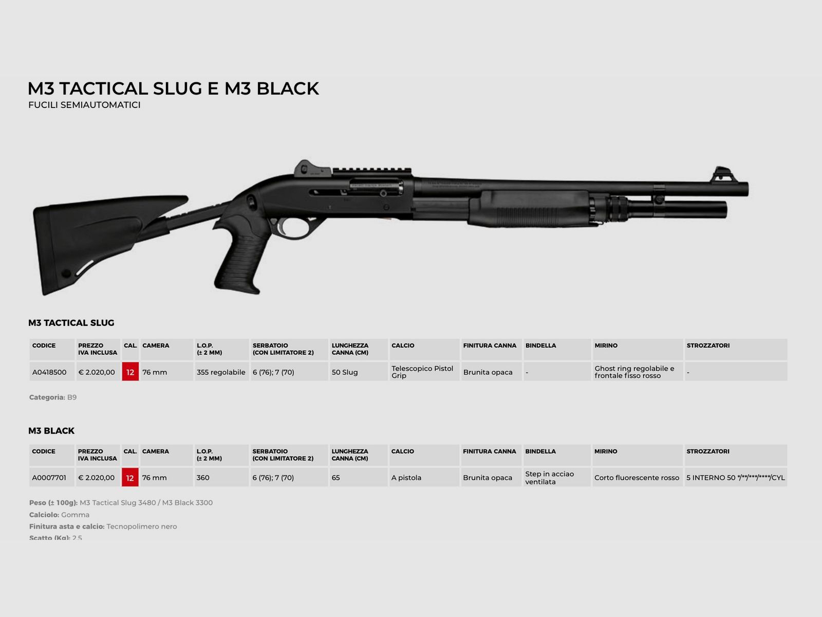 AAA PROMO BENELLI – PROFESSIONAL, Bild 6 von 6