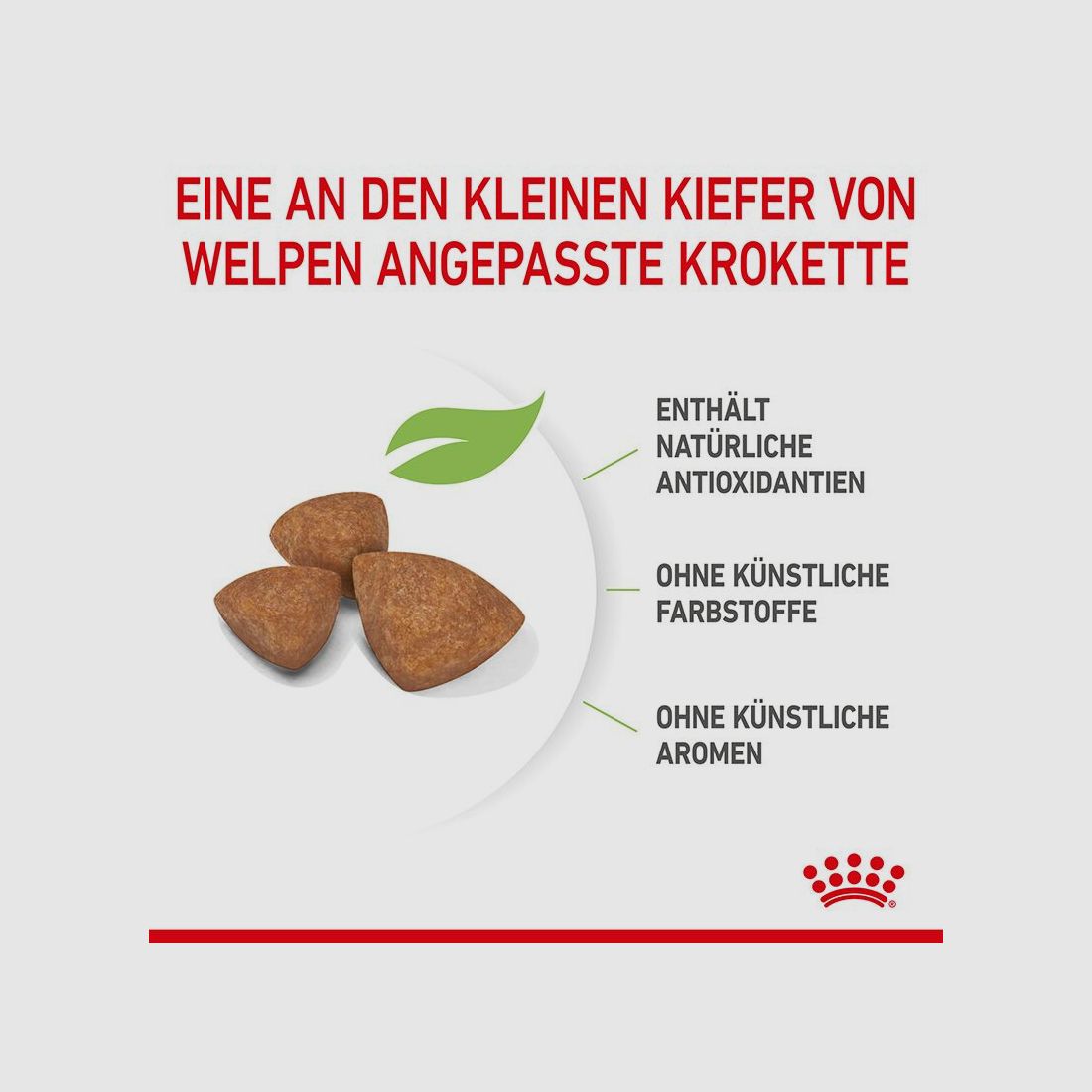 ROYAL CANIN Sehr Kleine Hunde Trockenfutter X-Small Welpen