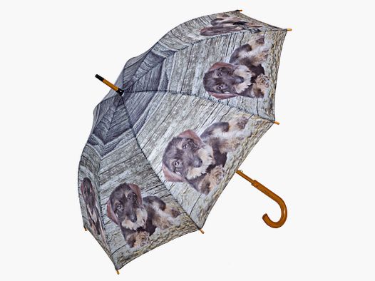 Regenschirm Rauhaardackel