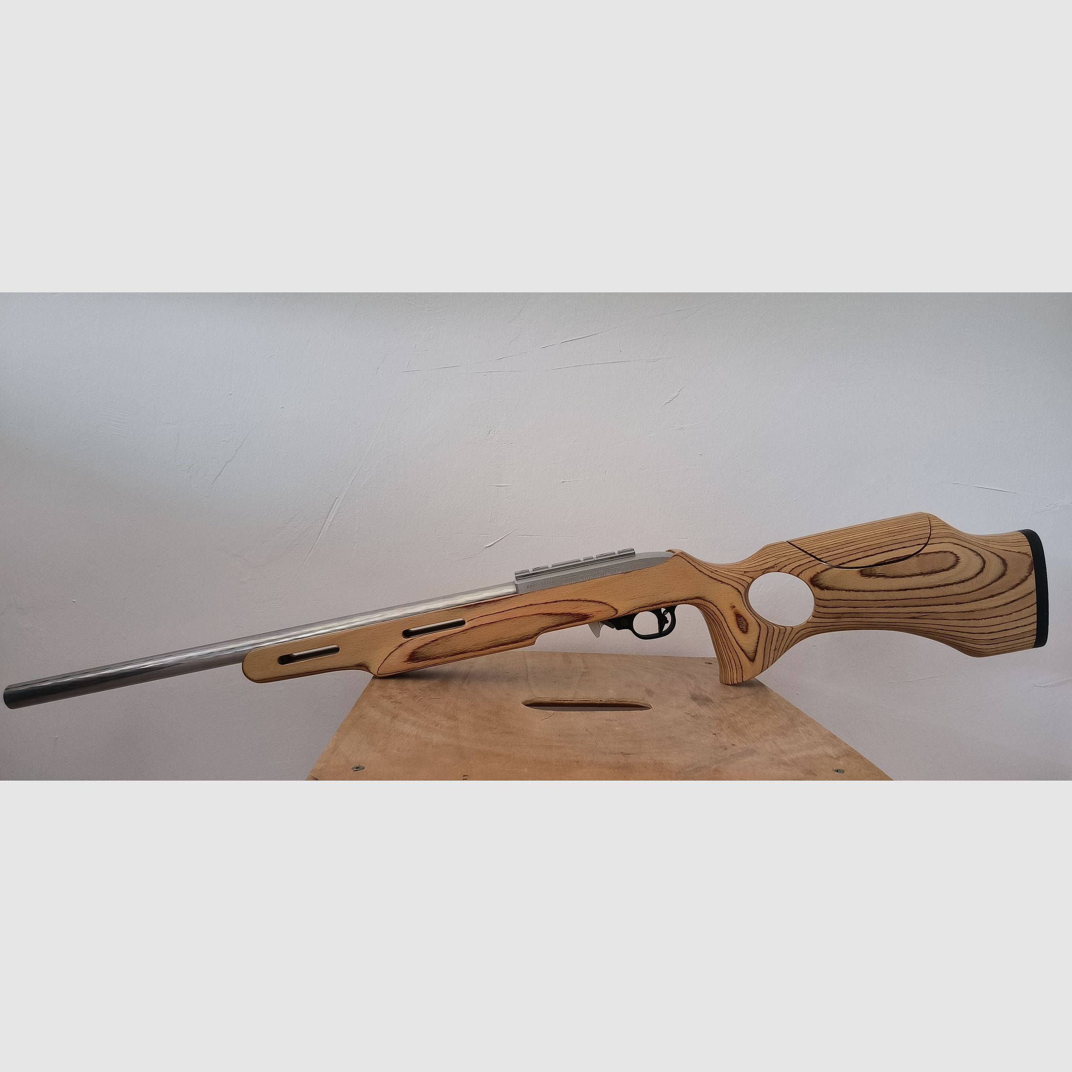 Ruger 10/22
