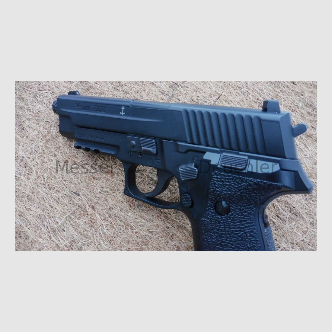 Sig Sauer	 226