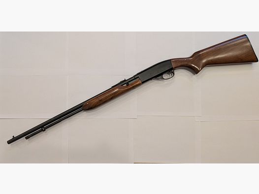 Remington Speedmaster 552 en .22lr.