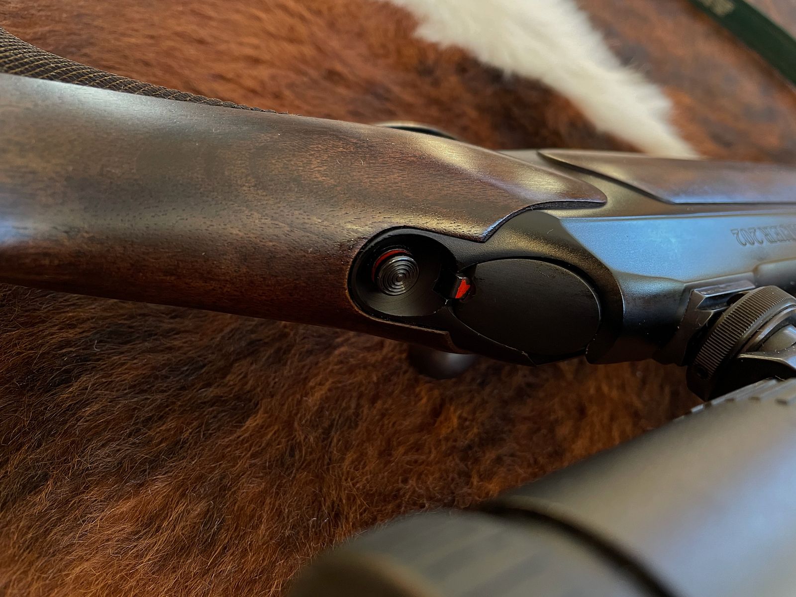 Sauer 202 | Cal. .30-06 | Zeiss Diavari 2,5-10x50 (point lumineux)