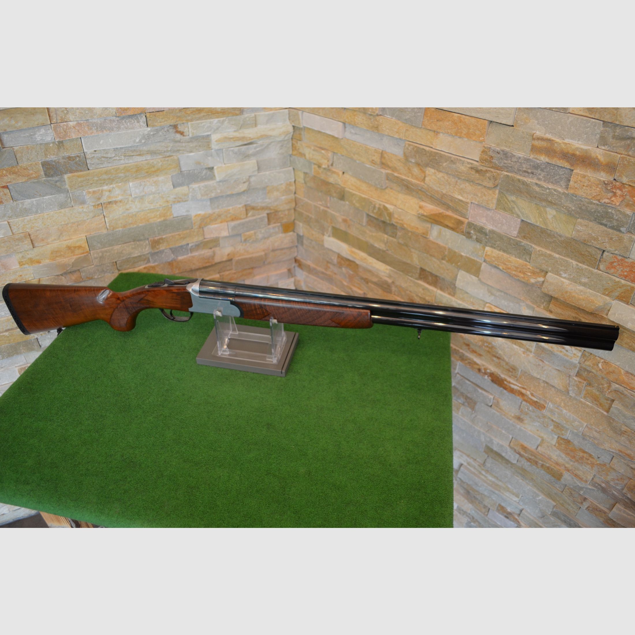 Rottweil 580 Jagd