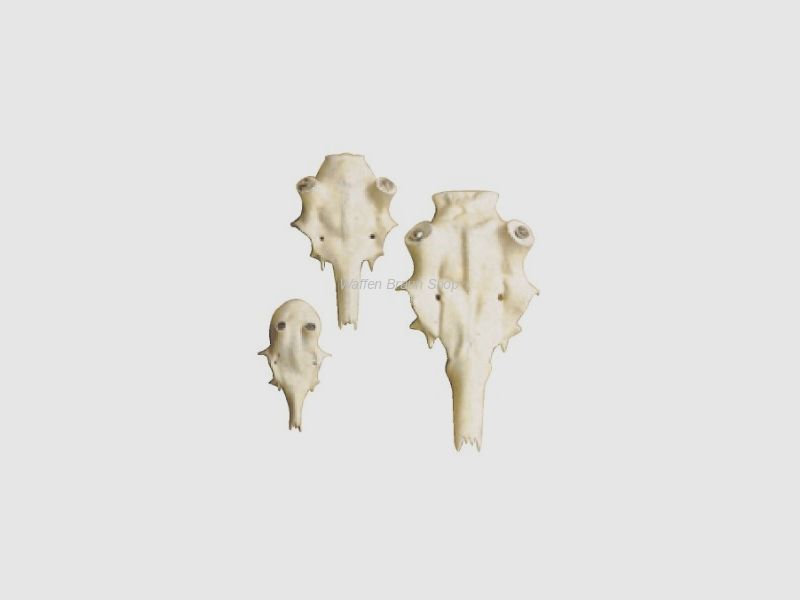 Damhirschschädel aus Alu Rosenstockdurchm. 25 mm