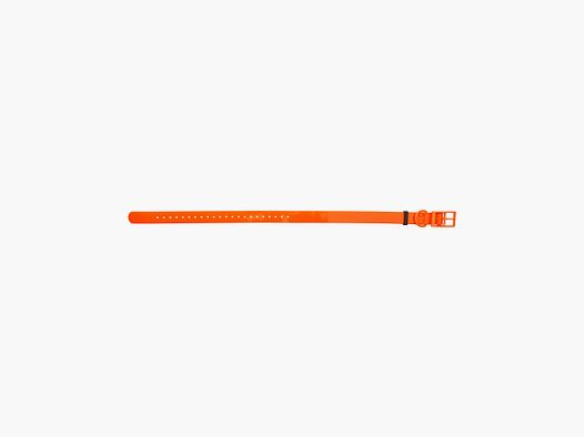 HP&G Hondenhalsband 25mm Oranje