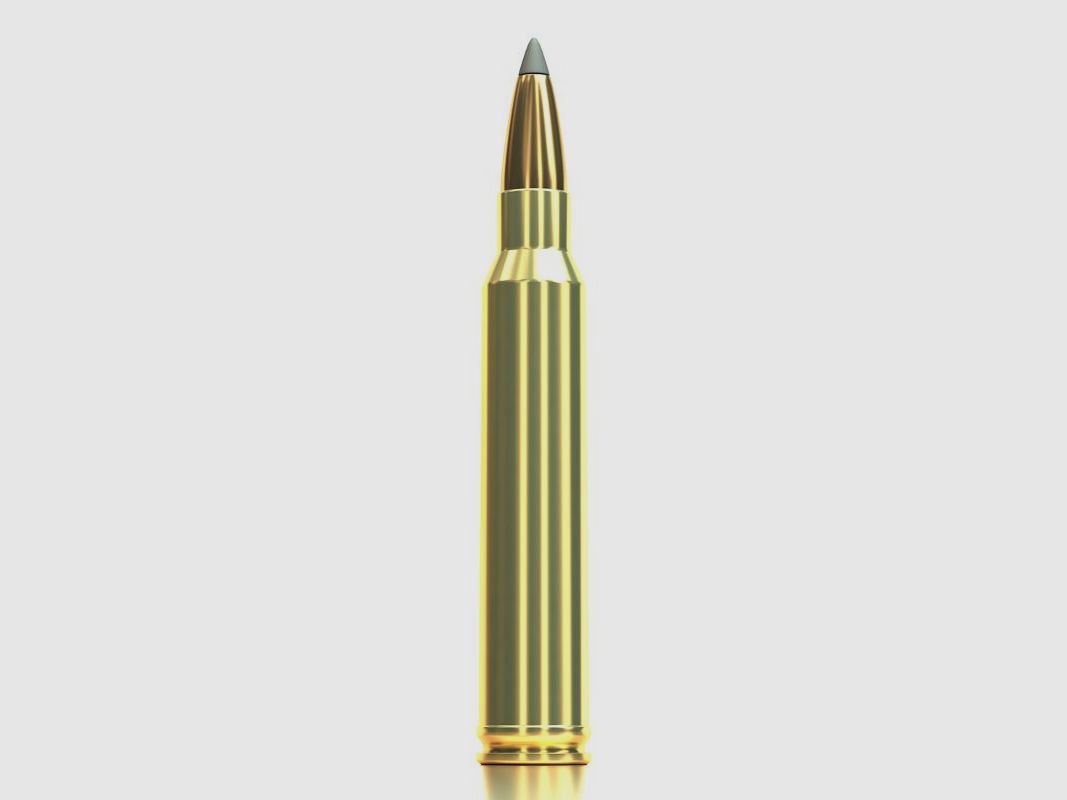 S&B .300 Win. Mag. SBT 12,96g/200gr, Bild 4 von 4