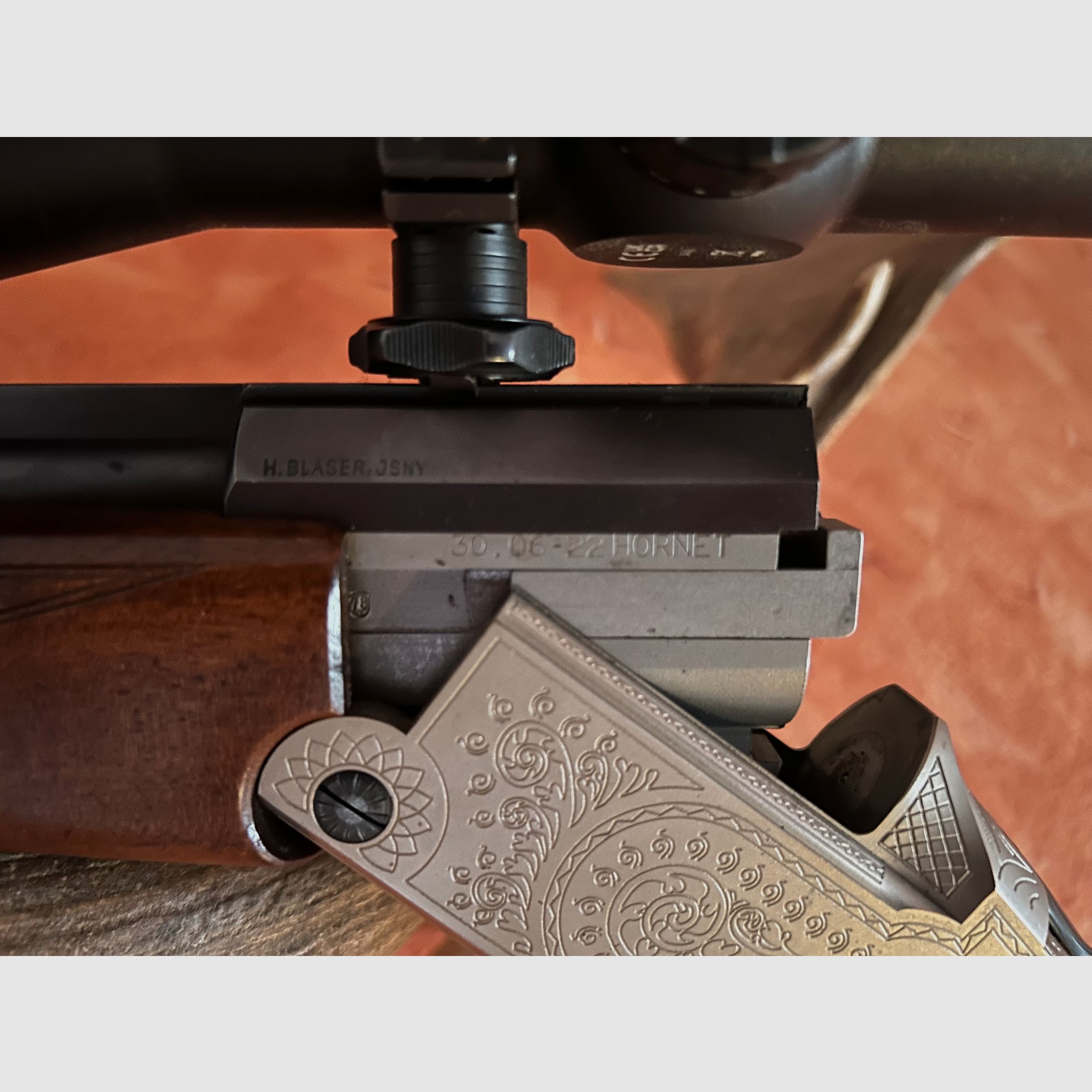 Blaser Bergstutzen 30-06 / .22 Hornet