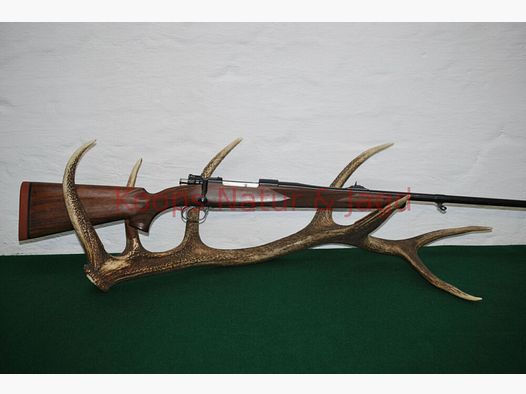 Klaus Koops 98 System DWM