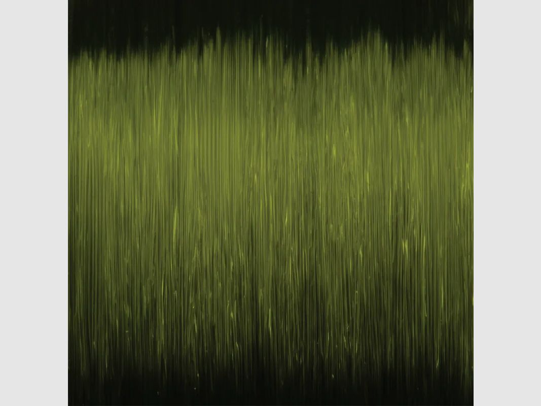 Nylon spécifique, image 2 sur 2