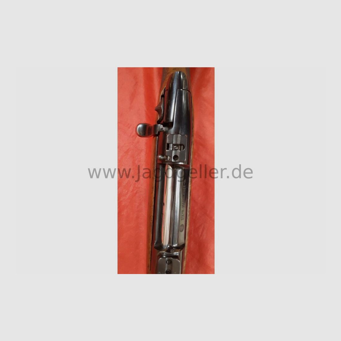 Steyr Mannlicher M Kal. 30-06 mit Schwenkmontage-Unterteilen .30-06Spring