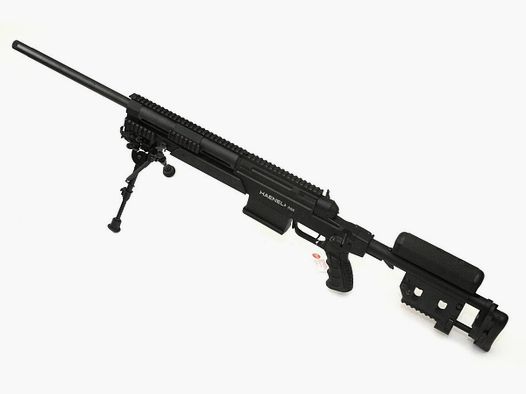 HAENEL RS8 .308Win schwarz
