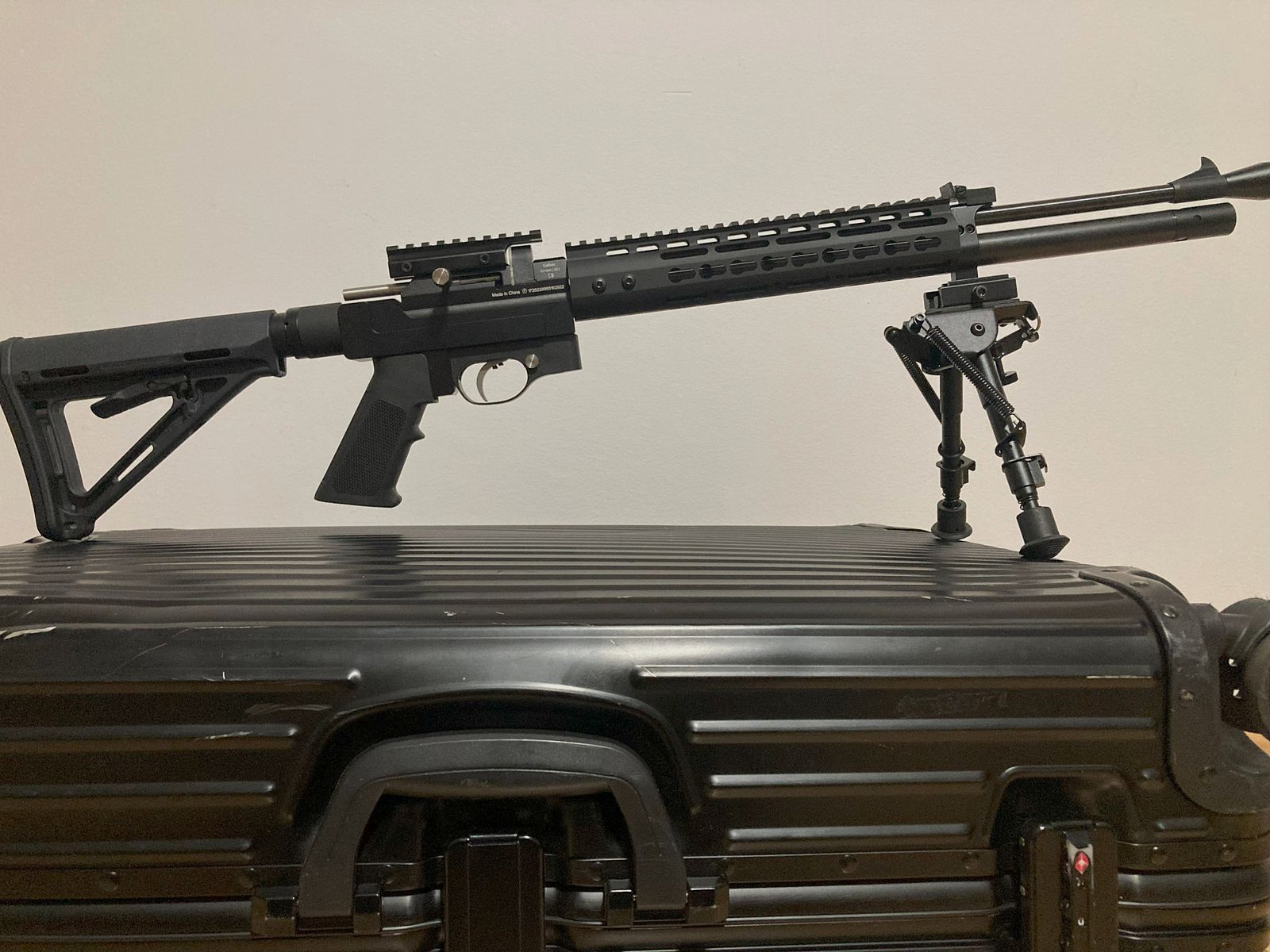 Diana Stormrider carabine à air 5,5 mm conversion style AR15 7,5J, y compris kit d'exportation 35J (non installé)