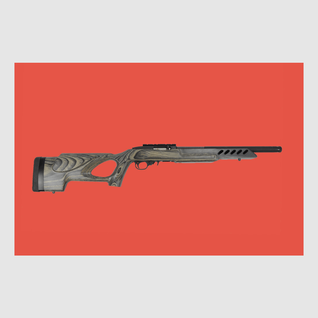 Ruger 10/22 Target