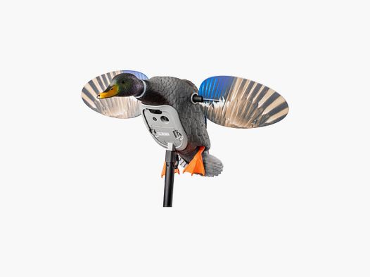 MOJO ES KING MALLARD mit Lio-Ion Batterie