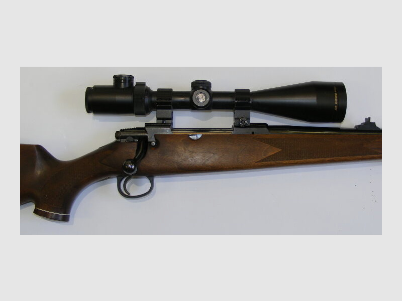 Lakelander Mod 389