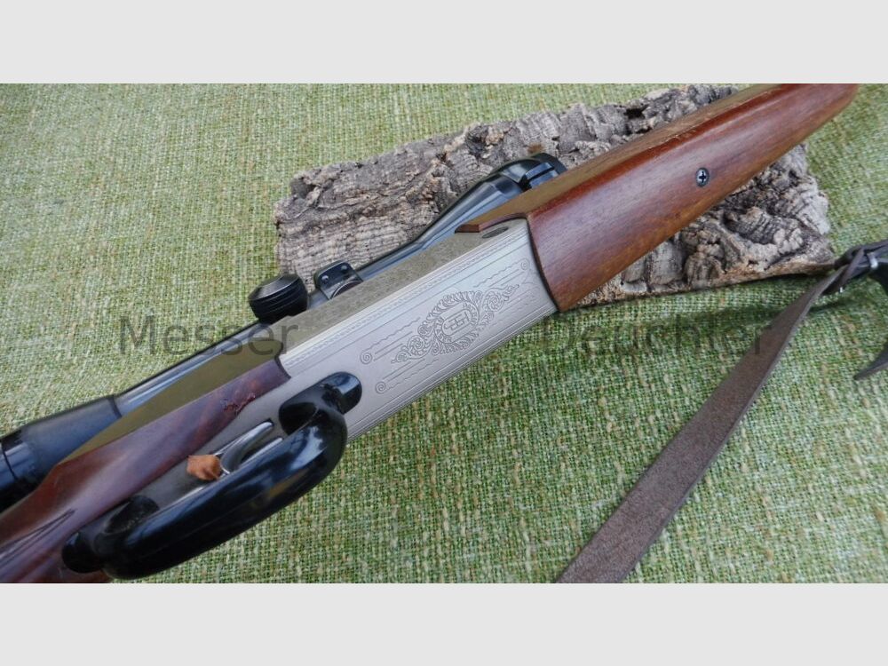 Blaser