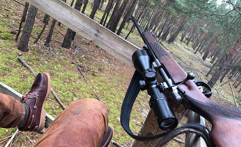 Die besten Repetierer für eine Drückjagd