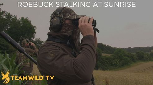 Roebuck Stalking: Calling bucks in the rut with Ian Harford & Owen Beardsmore