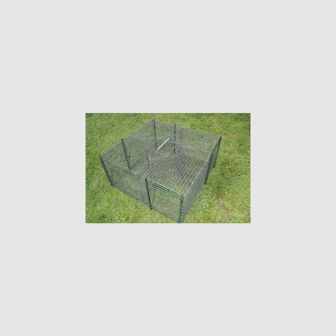 Crow trap