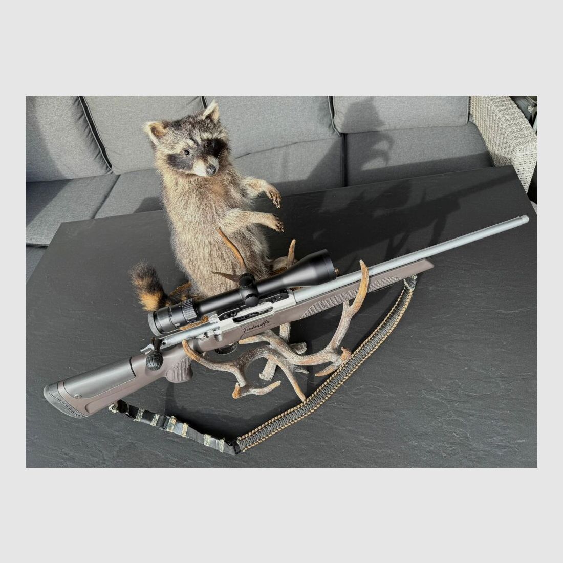 Sabatti Mercury Rover Pathfinder