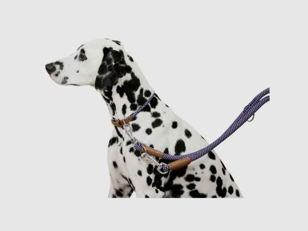 Hundehalsband aus Seil 45 - 65 cm, Bild 5 von 8