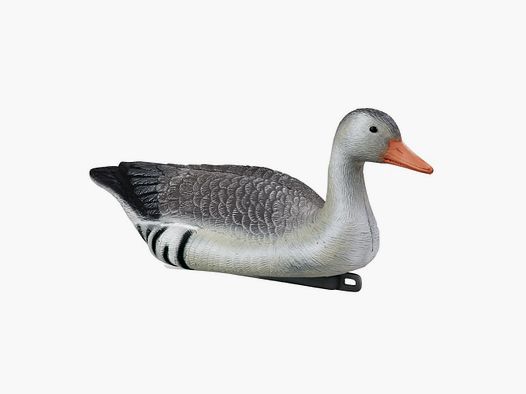 Drijvende Grauwe Gans Vorm Stepland