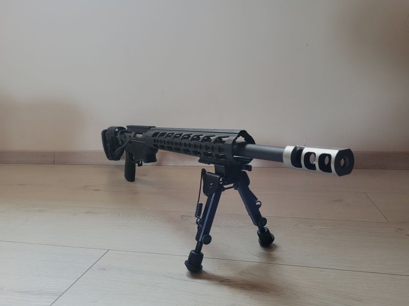 Ruger Precision Rifle 308