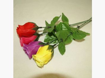 Schiet Roos
